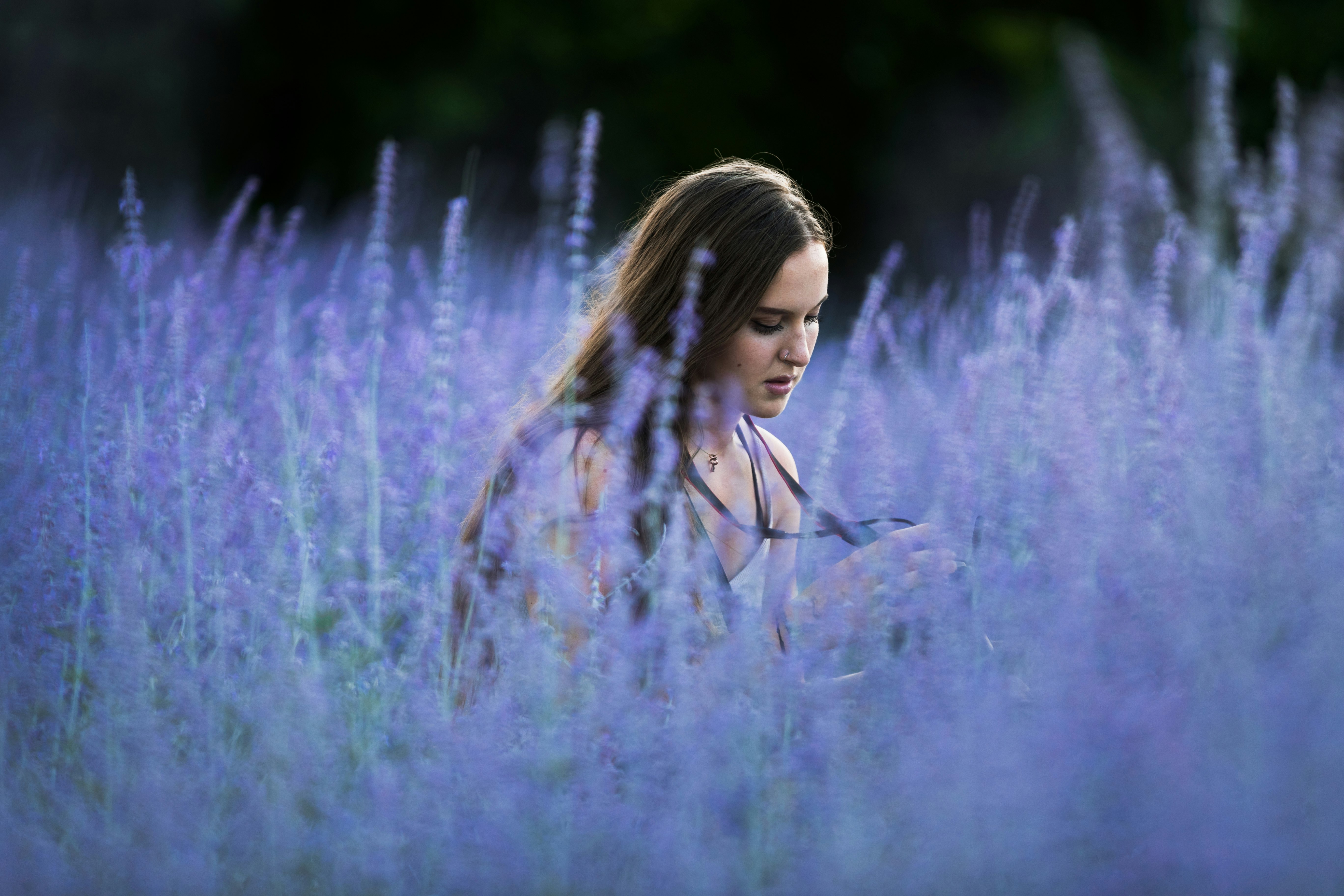 woman in purple and white floral dress standing on purple flower field during daytime